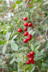 Similar image 21037166