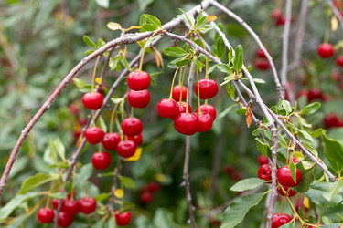 Similar image 21037167