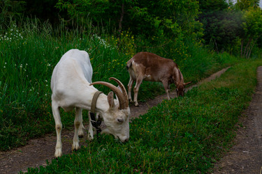 Similar image 21037174