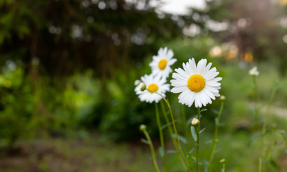 Similar image 21037405