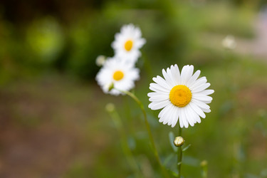 Similar image 21037406