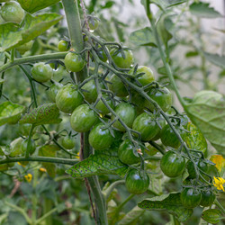 Similar image 21037407