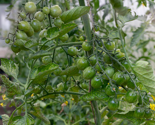 Similar image 21037408