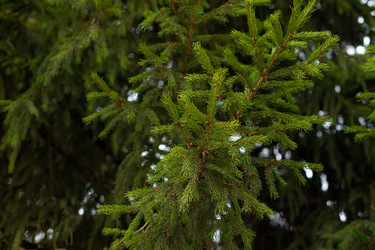 Similar image 21037409