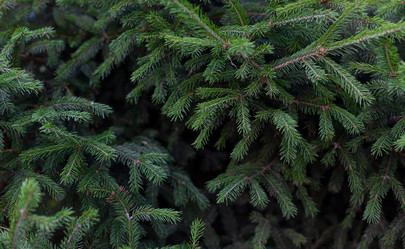 Similar image 21037410