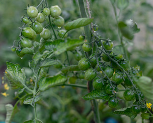 Similar image 21037411