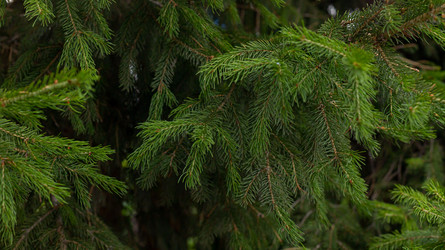 Similar image 21037412