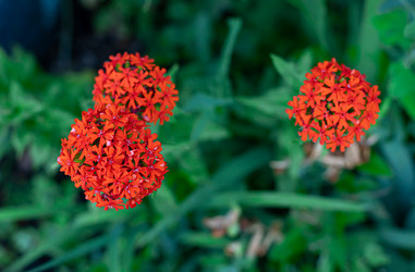 Similar image 21037413