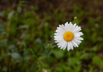 Similar image 21037414