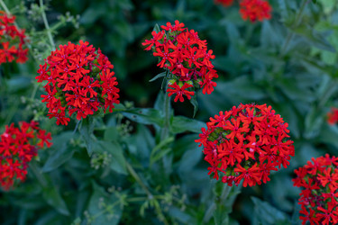 Similar image 21037418