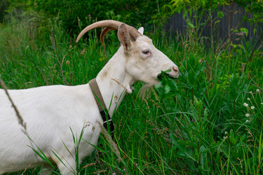 Similar image 21037423