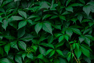 Similar image 21037424