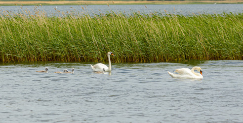 Similar image 21037426