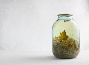 Similar image 21037457