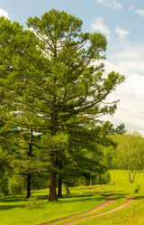 Similar image 21037202