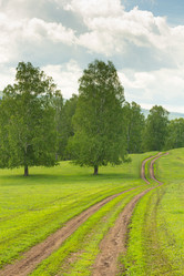 Similar image 21037205