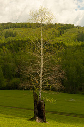 Similar image 21037207