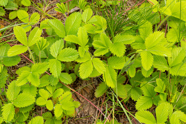 Similar image 21037208