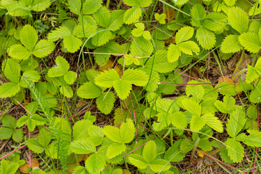 Similar image 21037209