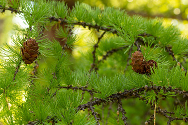 Similar image 21037212