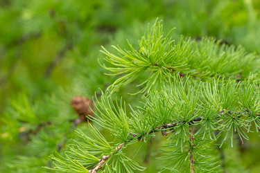 Similar image 21037213