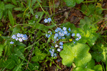 Similar image 21037214