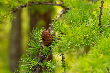 Similar image 21037217