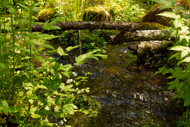 Similar image 21037218