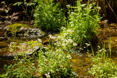 Similar image 21037220