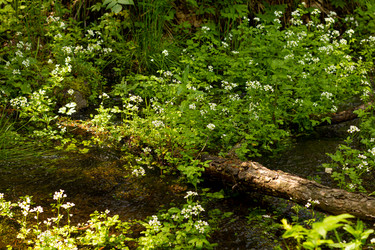 Similar image 21037222