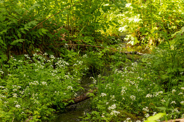 Similar image 21037223