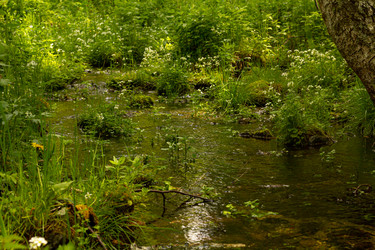 Similar image 21037225