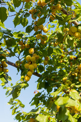 Similar image 21037226