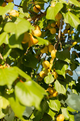 Similar image 21037227