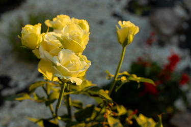 Similar image 21037230