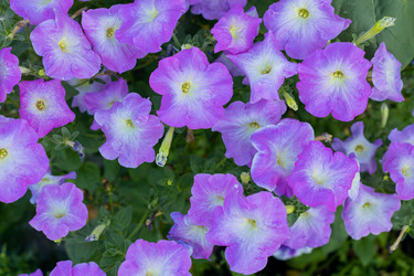 Similar image 21037233