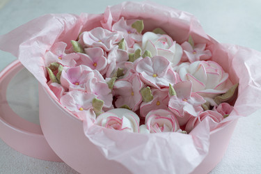 Similar image 21037236