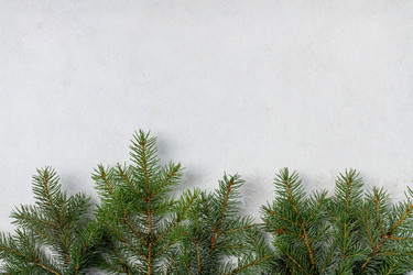 Similar image 21037258