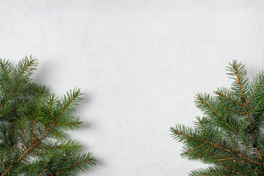 Similar image 21037259