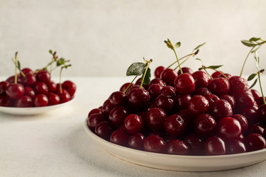 Similar image 21037270