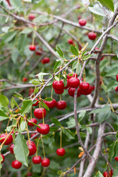 Similar image 21037276