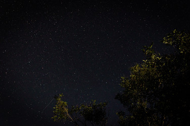 Similar image 21021167