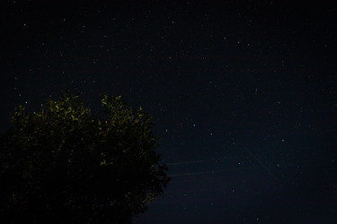 Similar image 21021172