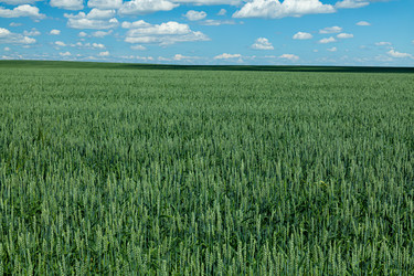 Similar image 21037475