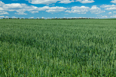 Similar image 21037476