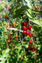 Similar image 21037479