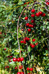 Similar image 21037480