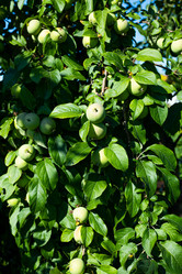 Similar image 21037483