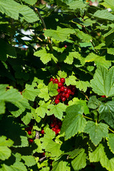 Similar image 21037487