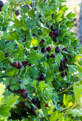 Similar image 21037493